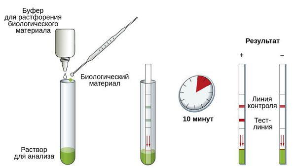 Иммунохроматографический тест