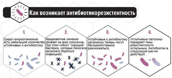 Возникновение антибиотикорезистентности