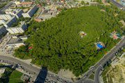 Парк «Березовая роща»