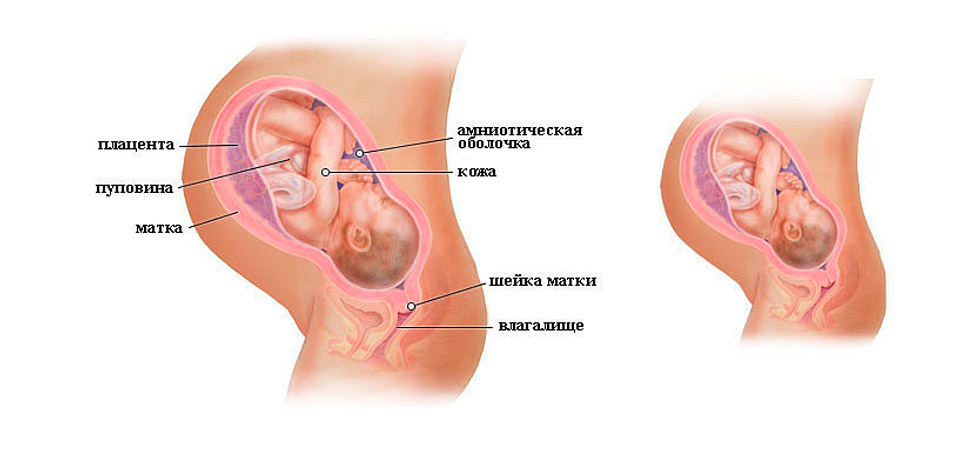 Малыш на 40 неделе беременности