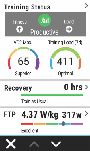 VO2 max