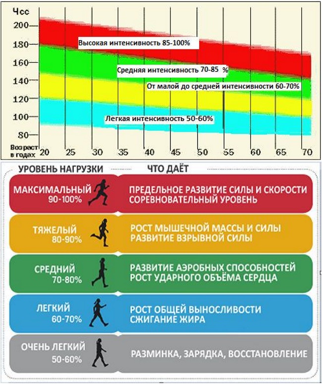 Нормы пульса при беге