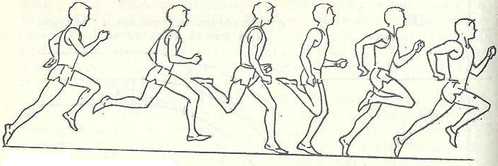 фазы бегового шага