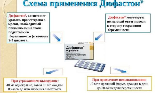 Дюфастон, чтобы вызвать месячные. Инструкция применения, противопоказания