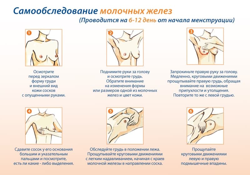 Алгоритм самообследования груди