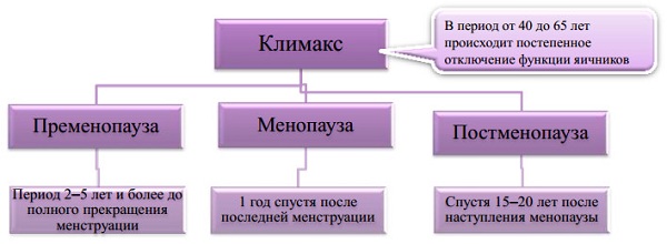 Сколько лет могут быть приливы при климаксе