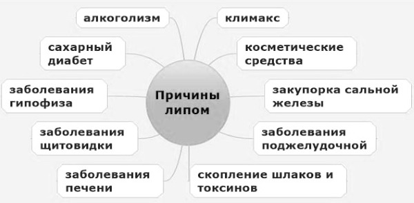 Как избавиться от жировиков на лице в домашних условиях. Причины возникновения