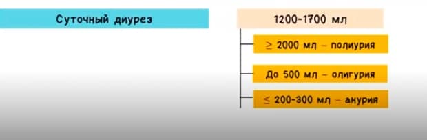 количество выделяемой мочи в день