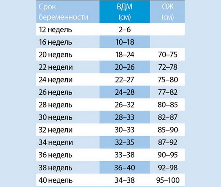 ОЖ и высота дна матки