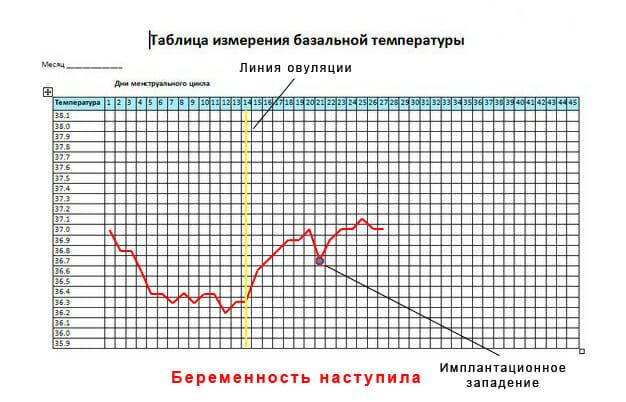 График базальной температуры при беременности