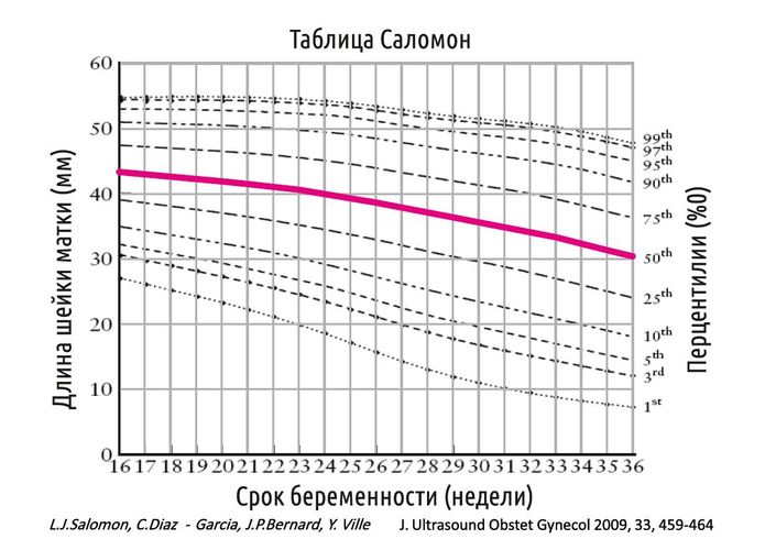 Шейка матки. Фото внутри, строение, норма размеров здоровой при беременности, перед родами, месячными