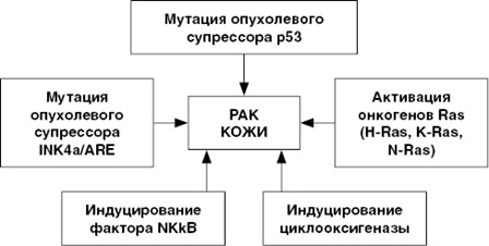 Базалиома кожи