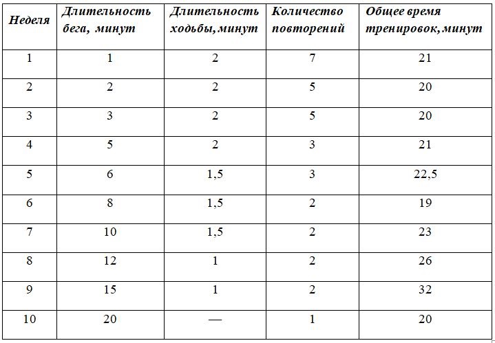 программа тренировок для новичков