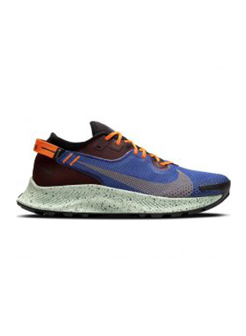 Купить Nike Pegasus Trail 2 GORE-TEX