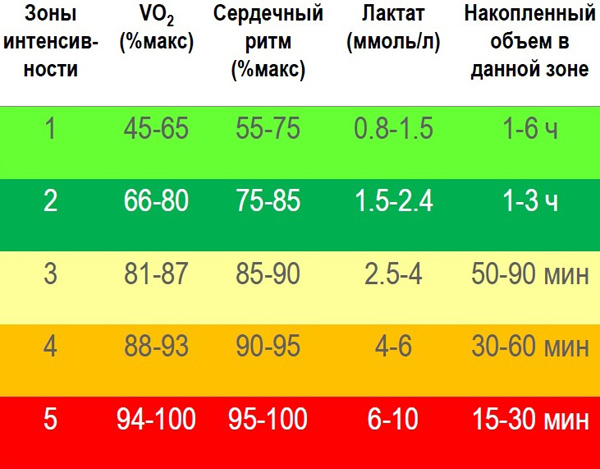 нагрузки и пульс