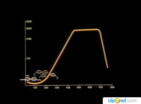 Кривая численности популяции мышей в раю