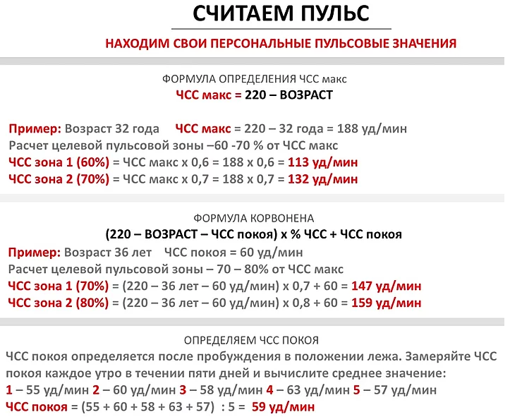 Как посчитать свой пульс быстро 