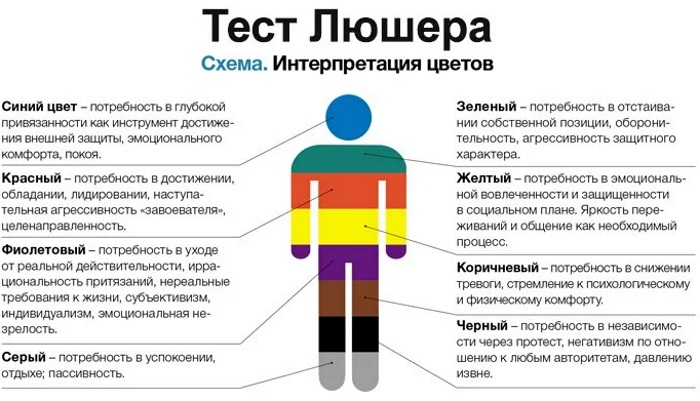 Свойства личности в психологии. Что это такое, примеры: психические, волевые, эмоциональные, индивидуальные, динамические, классификация