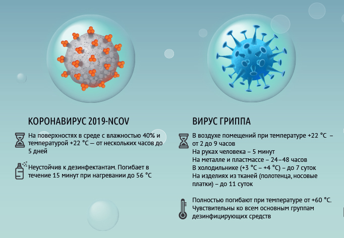 Срок жизни коронавируса и вируса гриппа вне организма