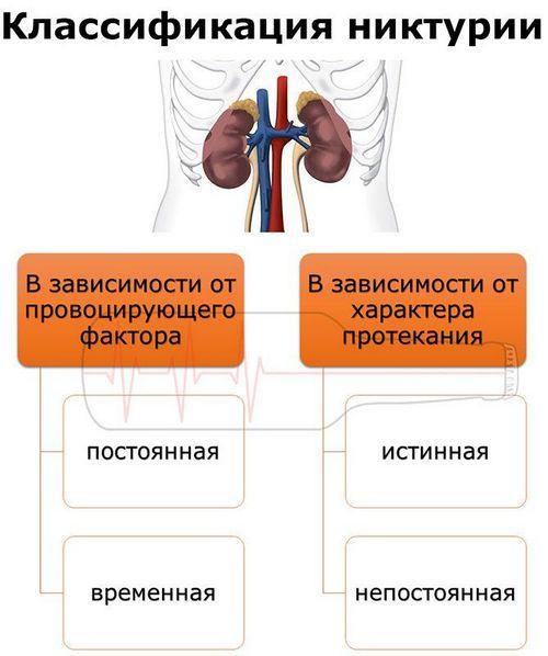 Классификация никтурии