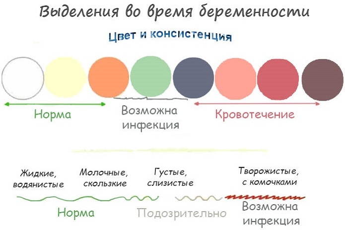 Желеобразные выделения у женщин при беременности из влагалища с запахом и без, прозрачные, густые