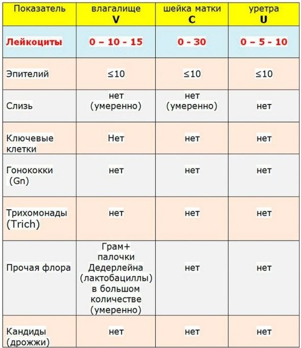 Цервикальная слизь. Что это при овуляции и после, перед месячными, нормы по дням цикла