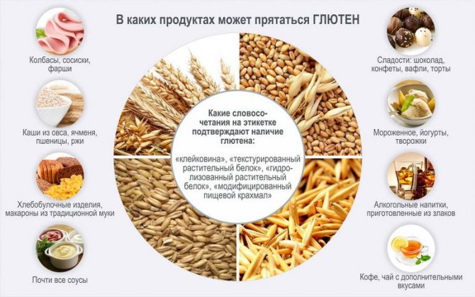 В каких продуктах присутствует глютен