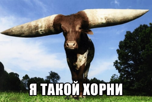 Я такой хорни