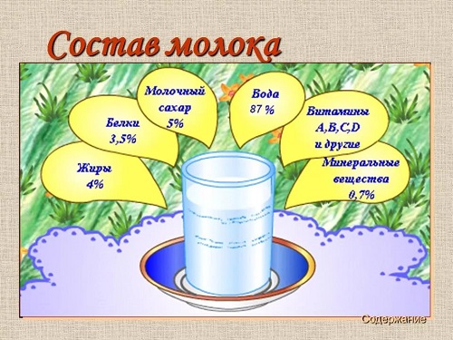  Молочные продукты 