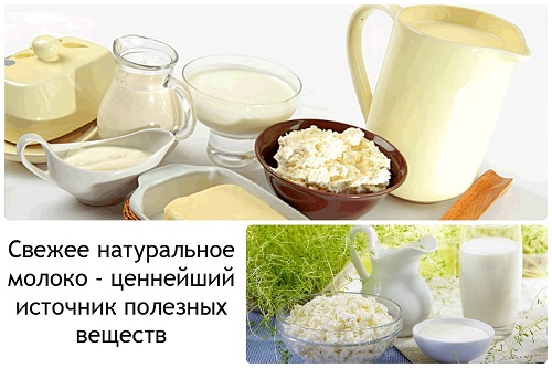  Молочные продукты 