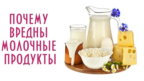  Молочные продукты 