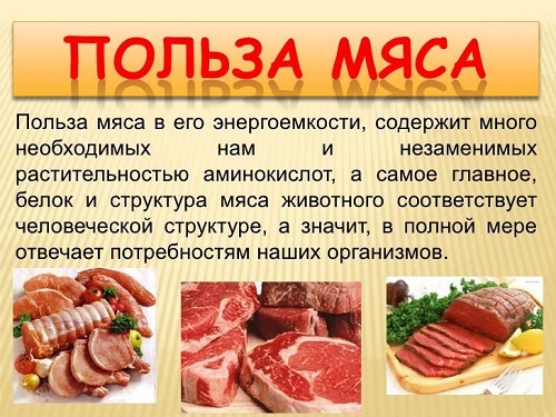  Мясо. Виды, польза и вред 