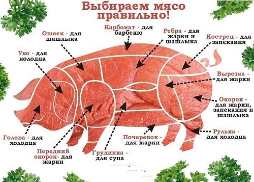  Мясо. Виды, польза и вред 