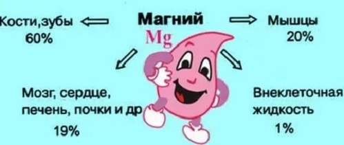 Магний