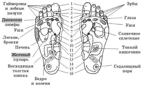 Биологически активные точки на ступнях ног