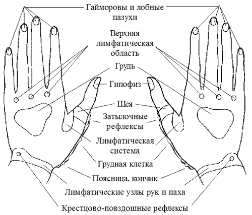 Биологически активные точки на руках