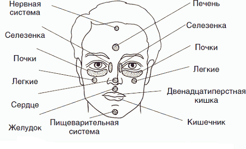 Биологически активные точки на лице