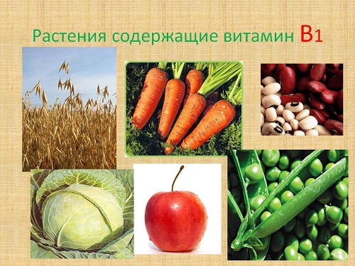 содержание В1 в продуктах